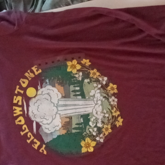 national park foundation Tops - National park foundation NWT Yellowstone  t